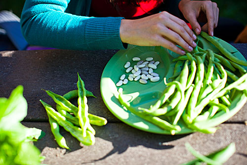 World peas