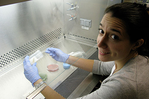2010_11_12-Tami-w-B-dolosa-sputum-1_500