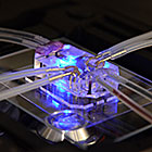 Lung-on-a-Chip wins prize