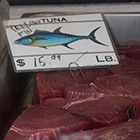 Eating fish gives older adults an edge
