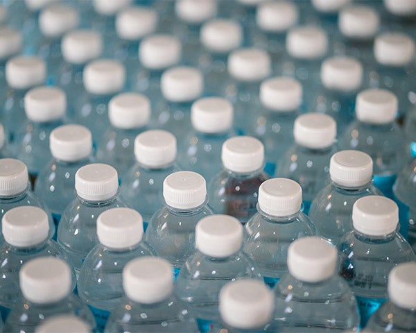 Plastic bottles lined up.