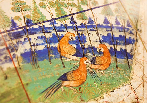 A detail of painted birds appears on a facsimile of a 1502 map showing Portugal's recent discoveries in Brazil, Africa, and the Indies. 