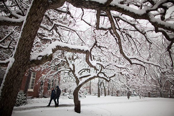 Snow days don't subtract from learning — Harvard Gazette