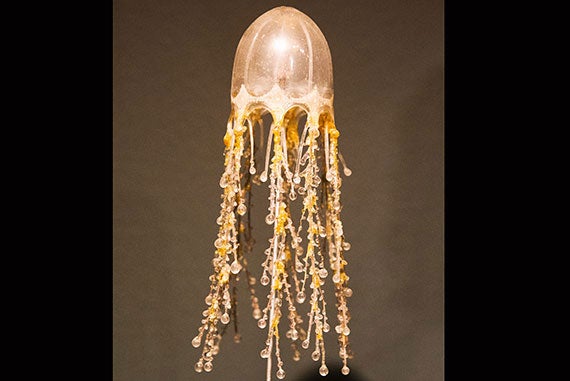 A glass version of the athecate hydroid, a species of jellyfish. Photos by  Jon Chase/Harvard Staff Photographer