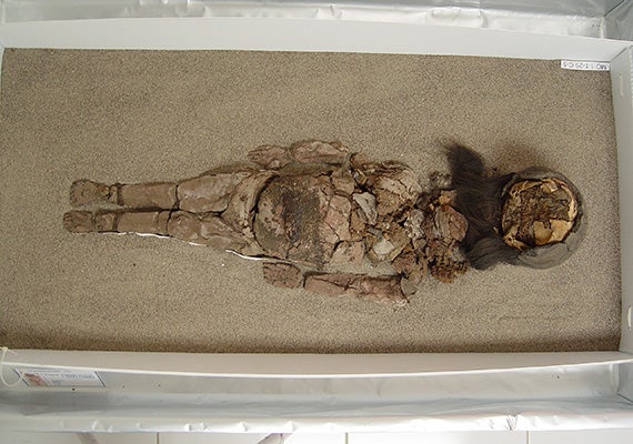 A complete Chinchorro mummy at San Miguel de Azapa Museum in Arica, Chile. Photo courtesy of Vivien Standen
