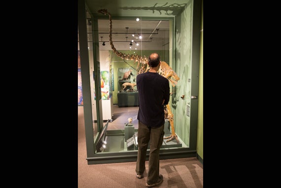 A visitor views the great moa, an extinct bird from New Zealand that stood as high as 12 feet.