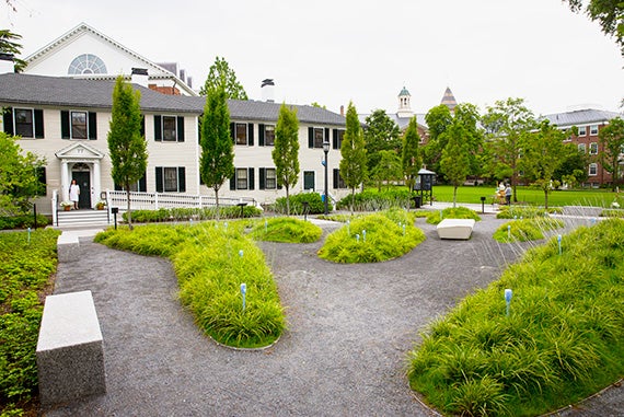 The daytime look of Geros’ public art installation at the Susan S. and Kenneth L. Wallach Garden at the Radcliffe Institute for Advanced Study. Kris Snibbe/Harvard Staff Photographer