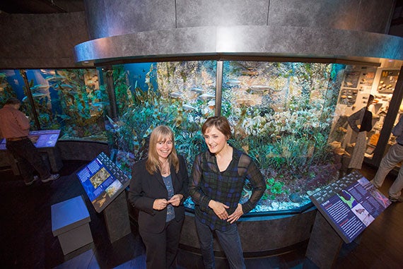 Jane Pickering (left), executive director of the Harvard Museums of Science and Culture, and Janis Sacco, director of exhibitions, are pictured in the “Marine Life" exhibit. Photos by Kris Snibbe/Harvard Staff Photographer