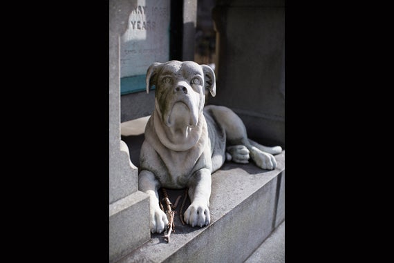 A dog, the symbol of loyalty, rests at the base of the monument to William Frederick Harnden.