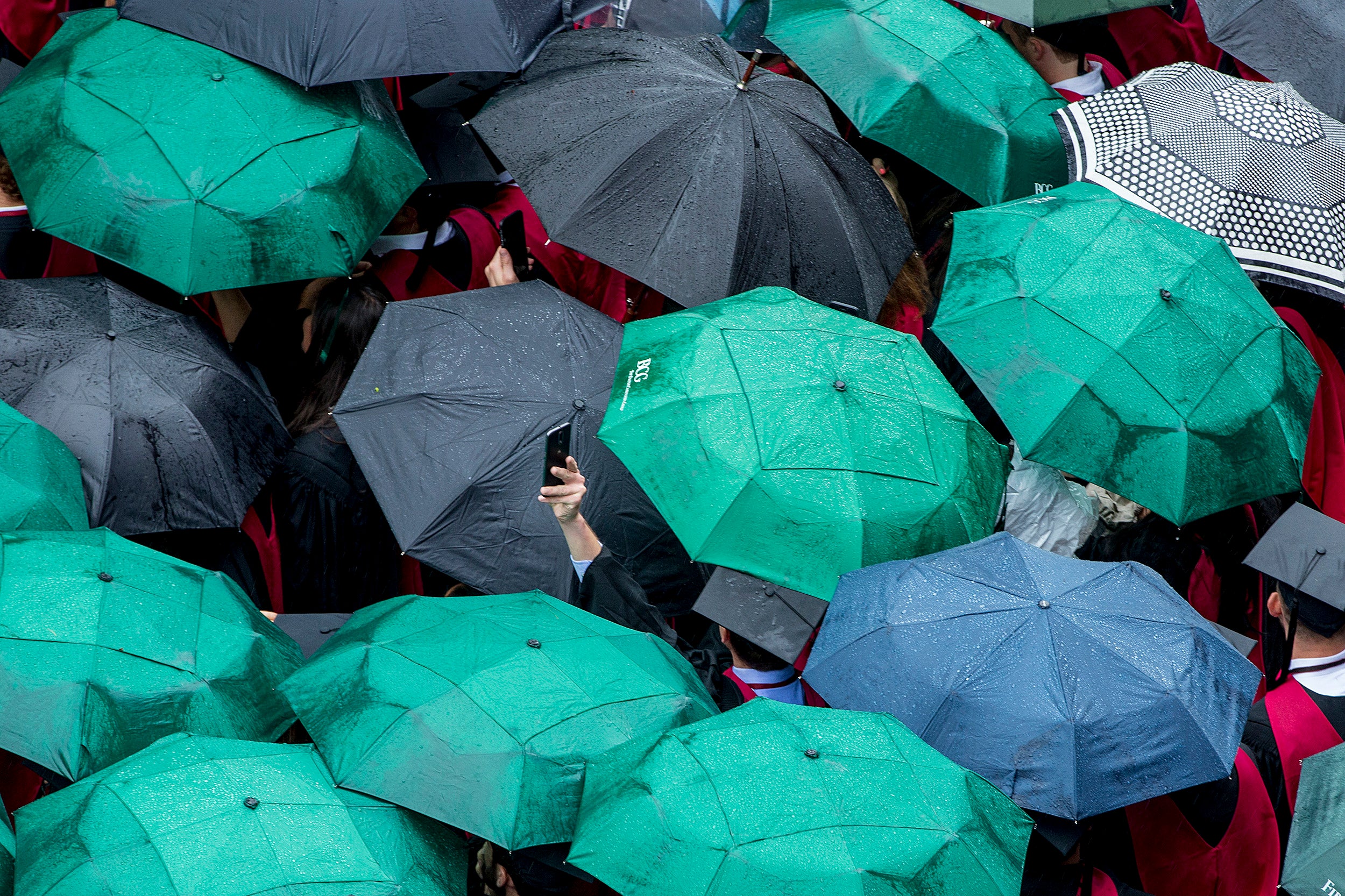 A Harvard graduate raises his phone to snap a picture above the umbrellas.