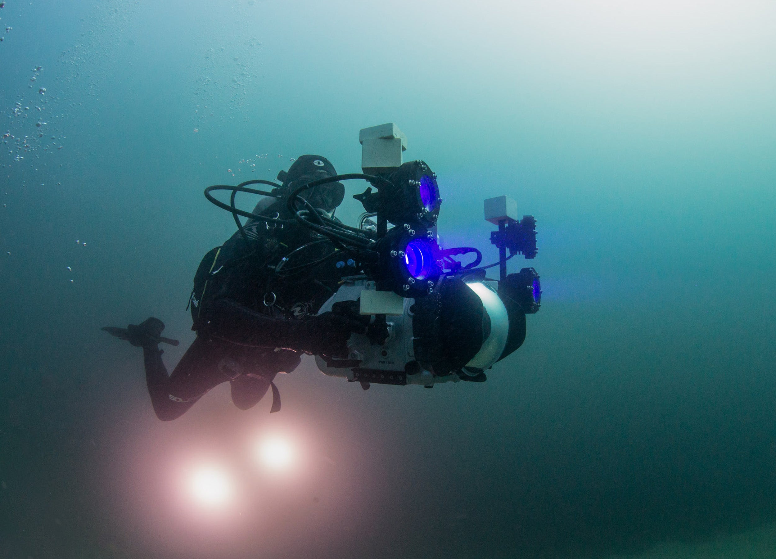 David Gruber photographs underwater using a "shark-eye" camera.