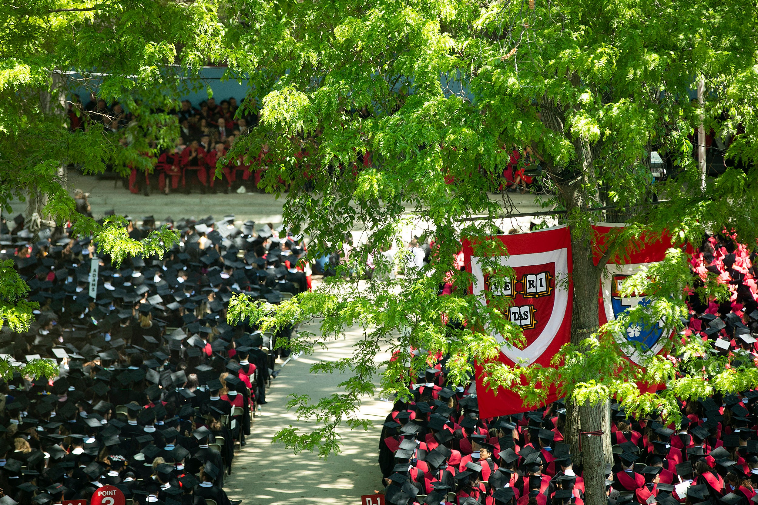Overview of Harvard Yard during commencement.
