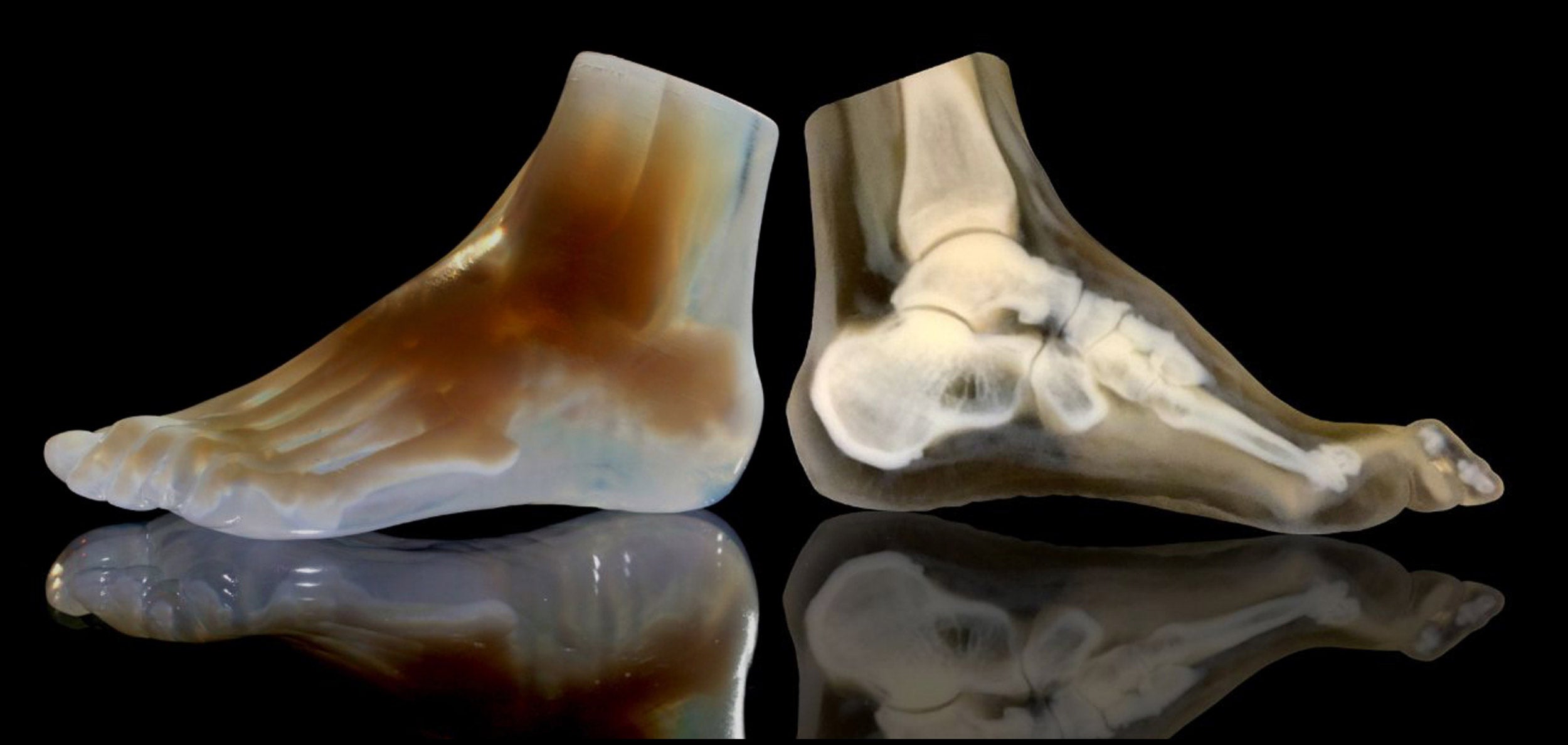 3-D model of a foot