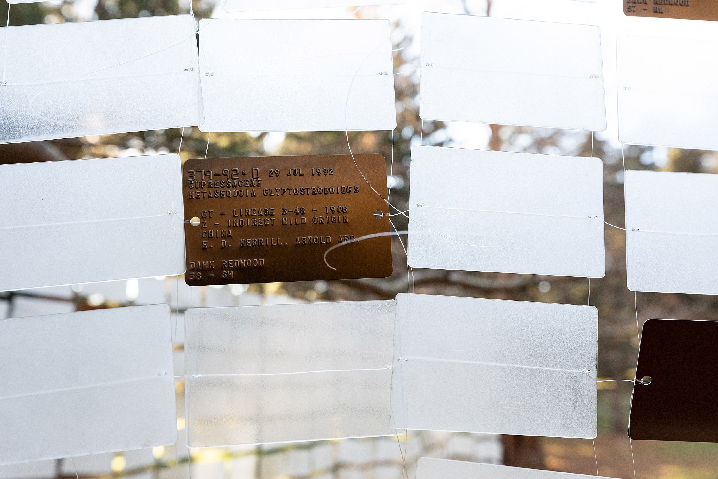 Installation at the Arboretum uses plant ID tags.