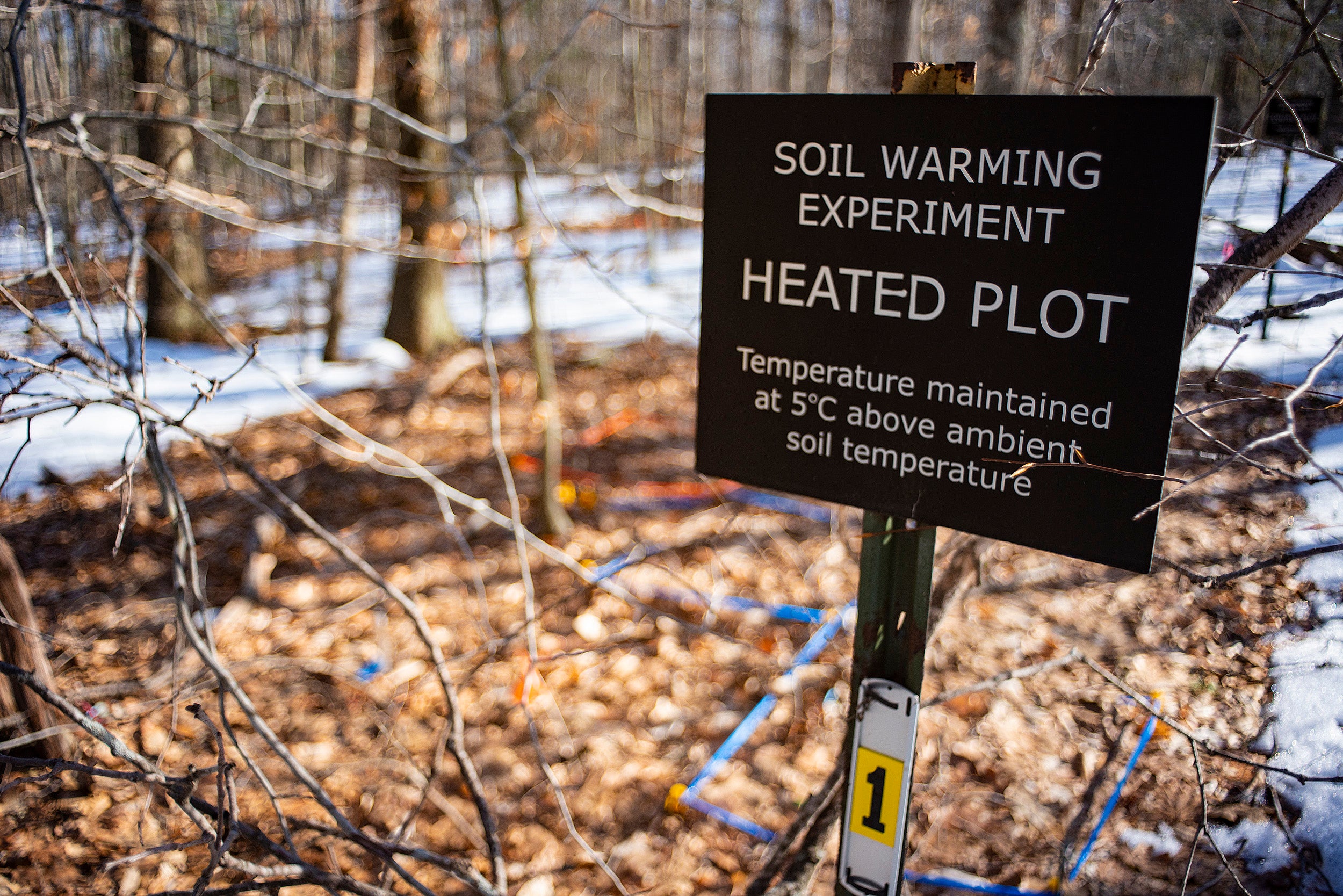 A sign marks the site of a 20-year soil experiment.