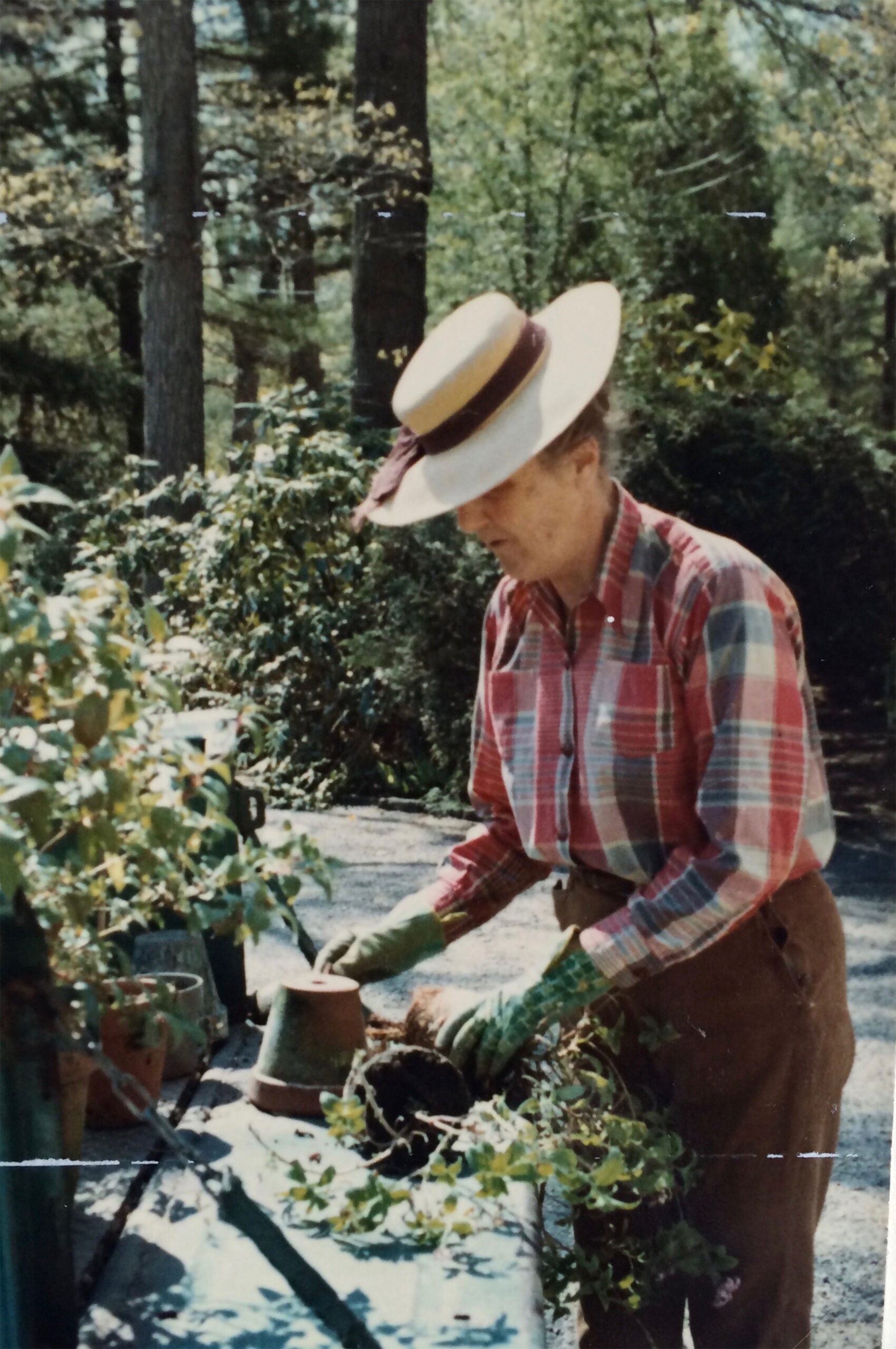Eleanor Cabot Bradley gardening
