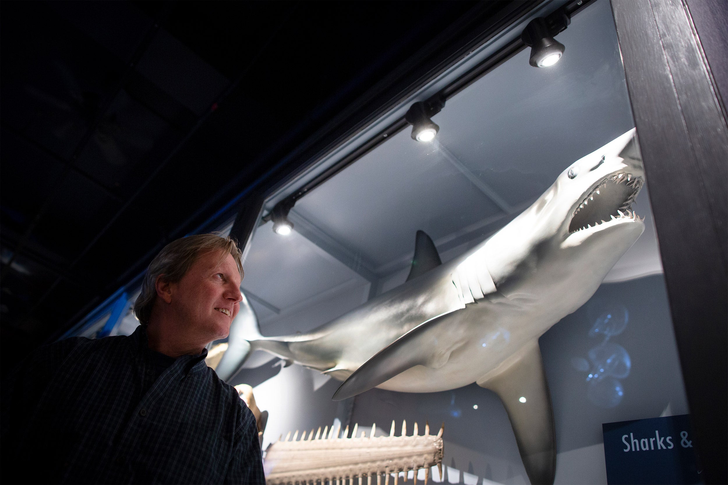 Greg Skomal stands in front of a shark in a glass case