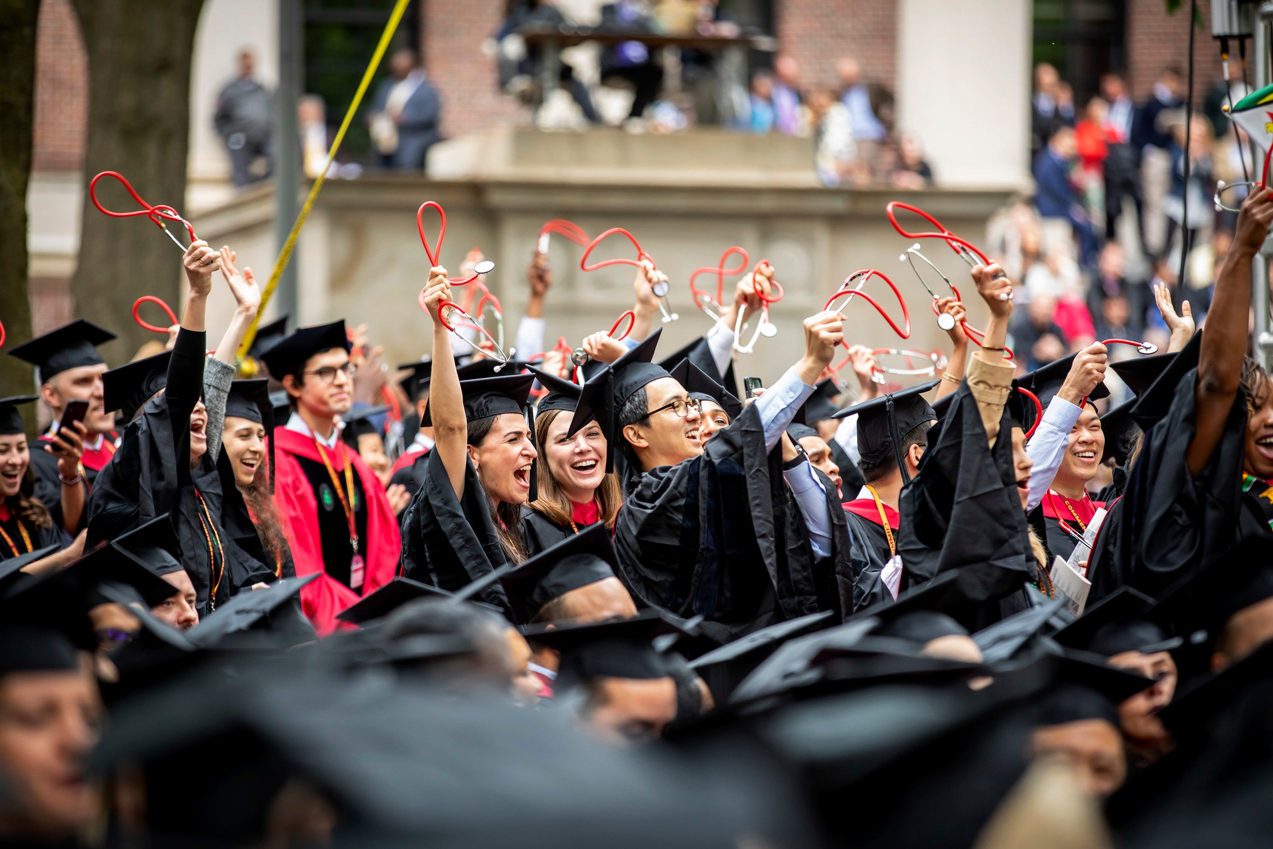 Graduates from Harvard Medical School wave stethoscopes in the air.