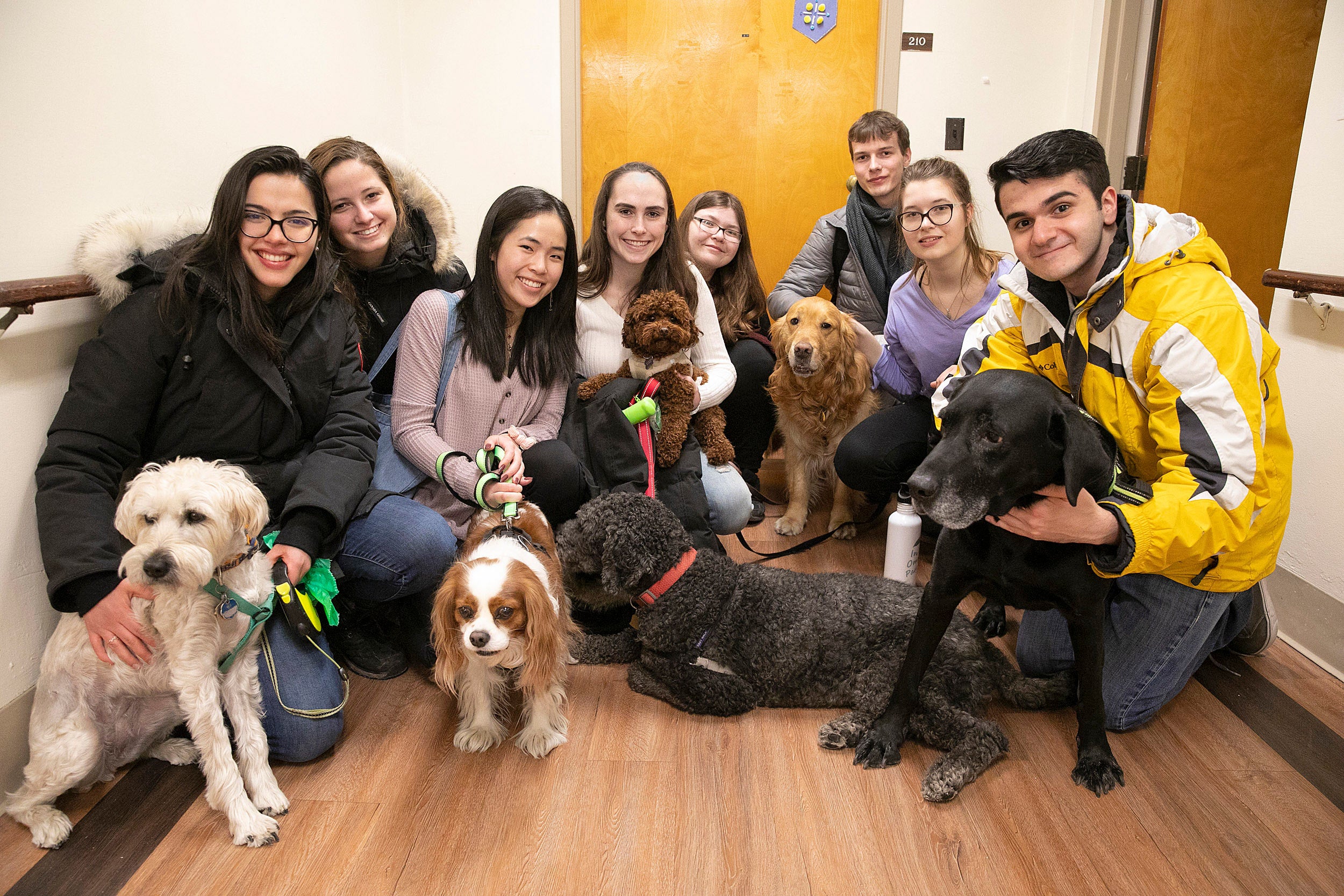 Group shot, eight therapy volunteers and 5 dogs.