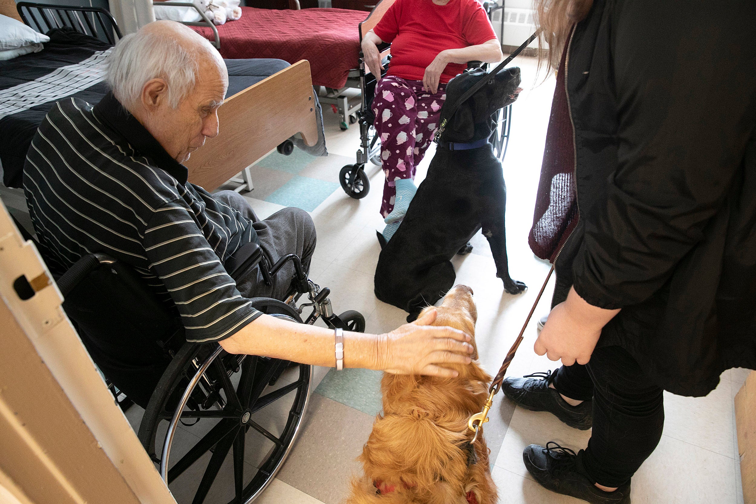 Man in wheelchair petting dog.
