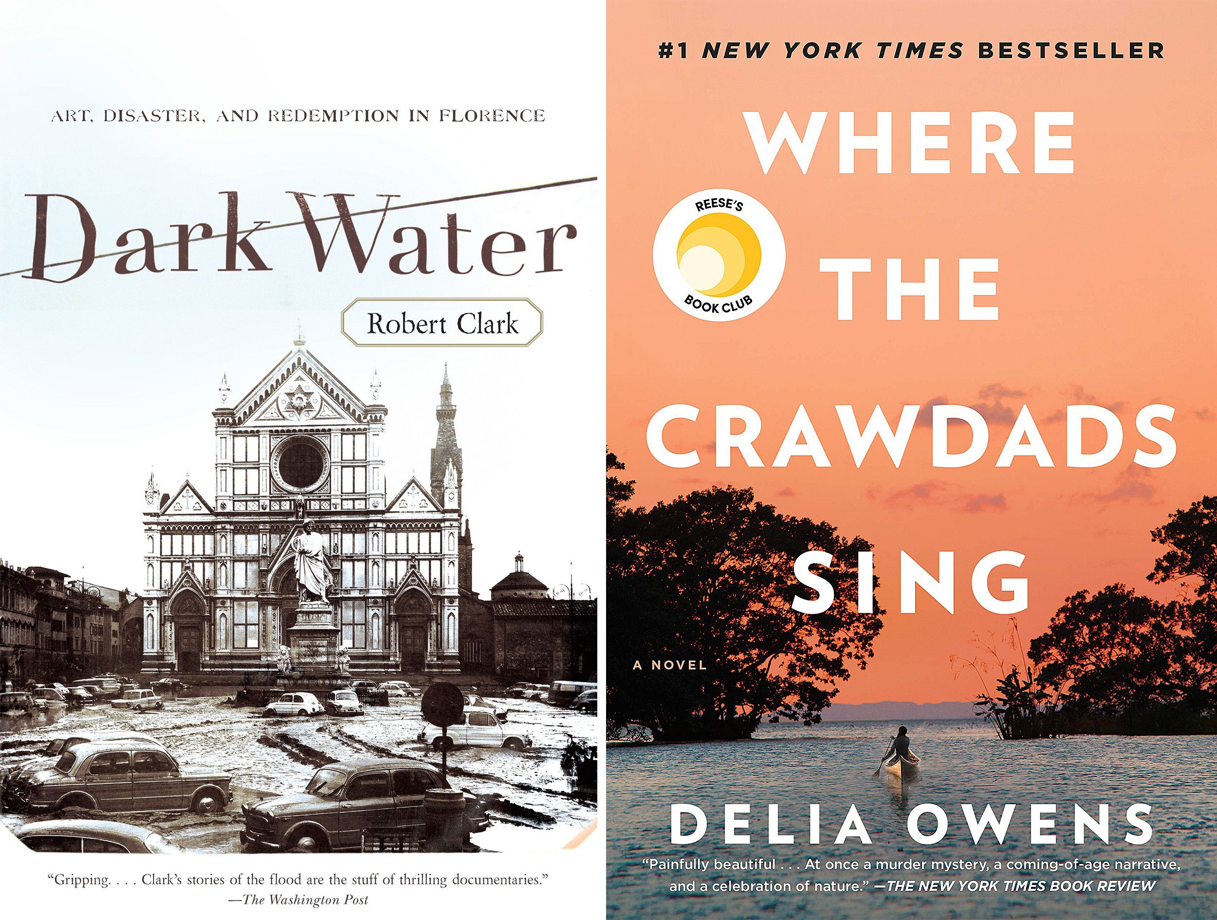 Dark Water and Where the Crawdads Sing book covers