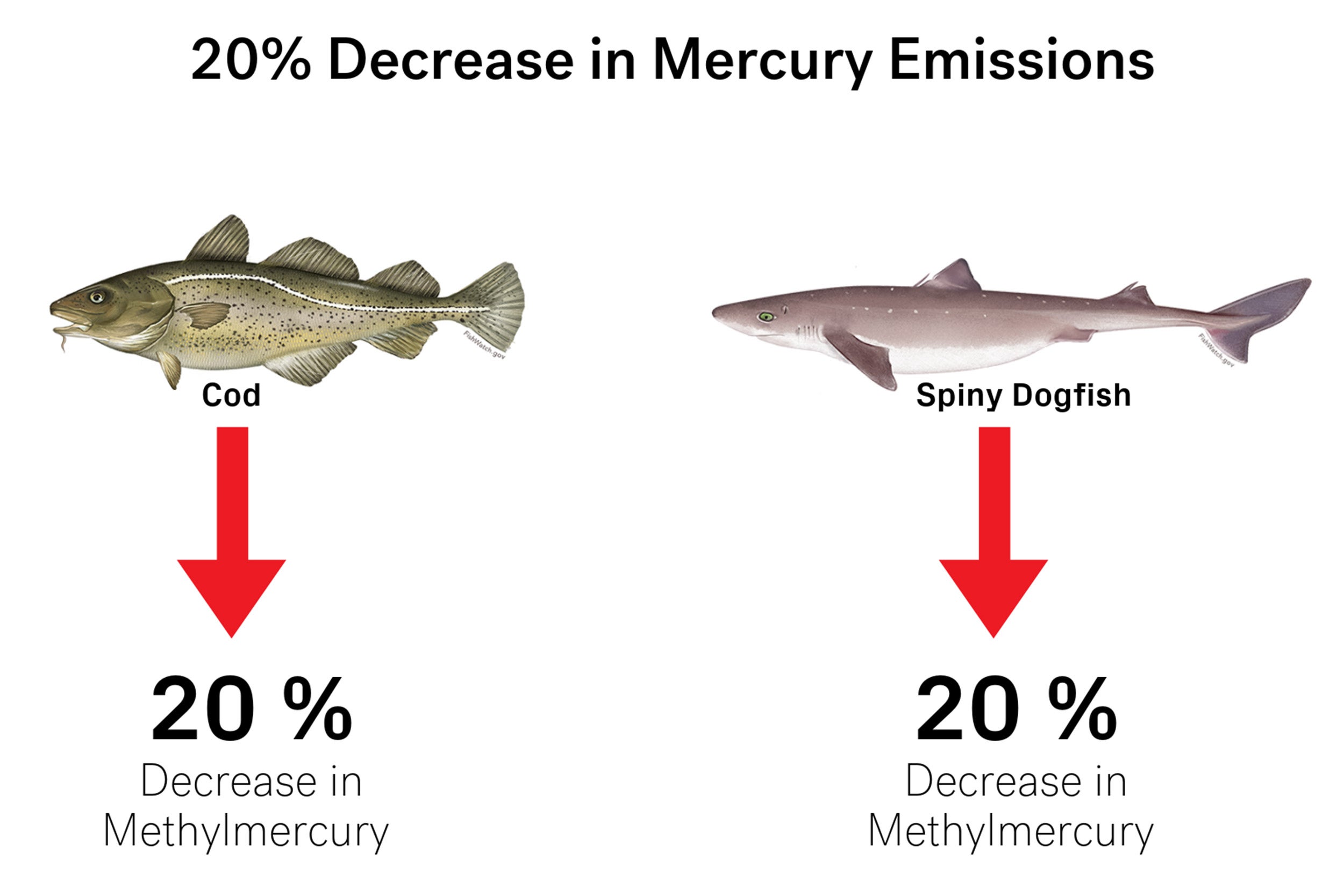 Graphic of decrease in mercury emissions