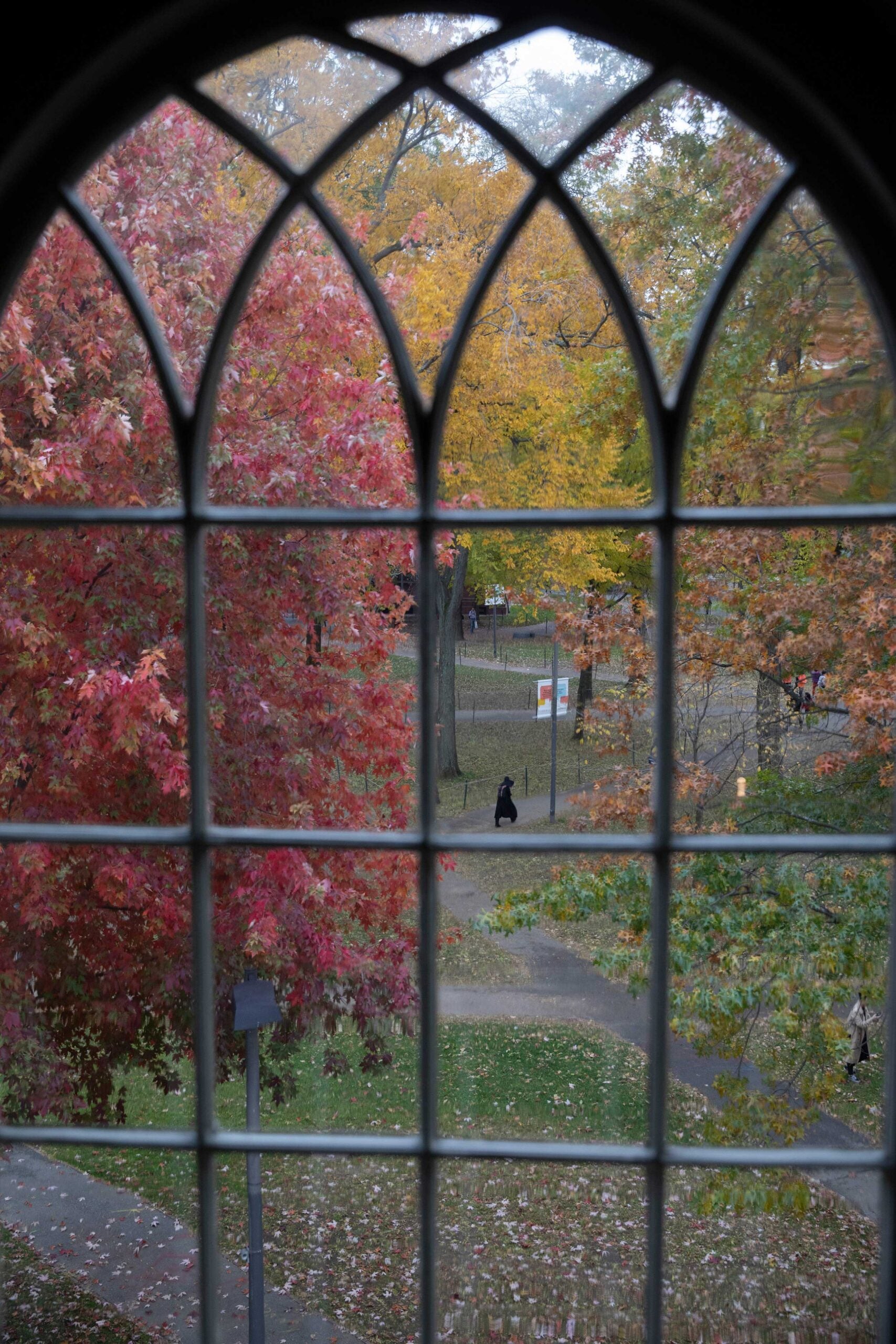 Looking out a framed window pane at fall foliage.