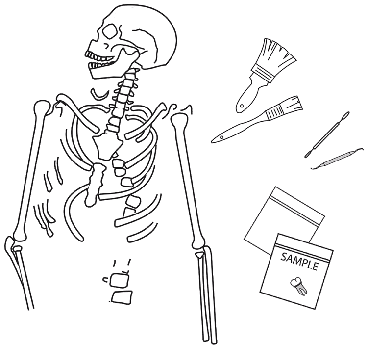 Gif of a skeleton outline being colored in