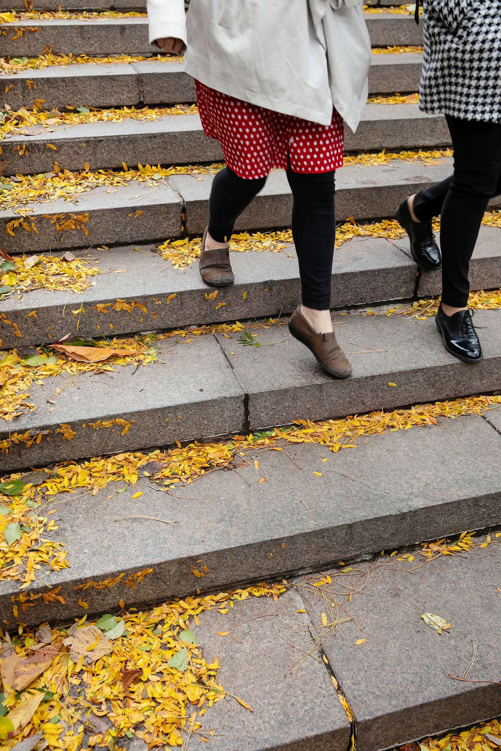 Students in polka dots and houndstooth descend the leaf-covered steps beside Houghton Library.