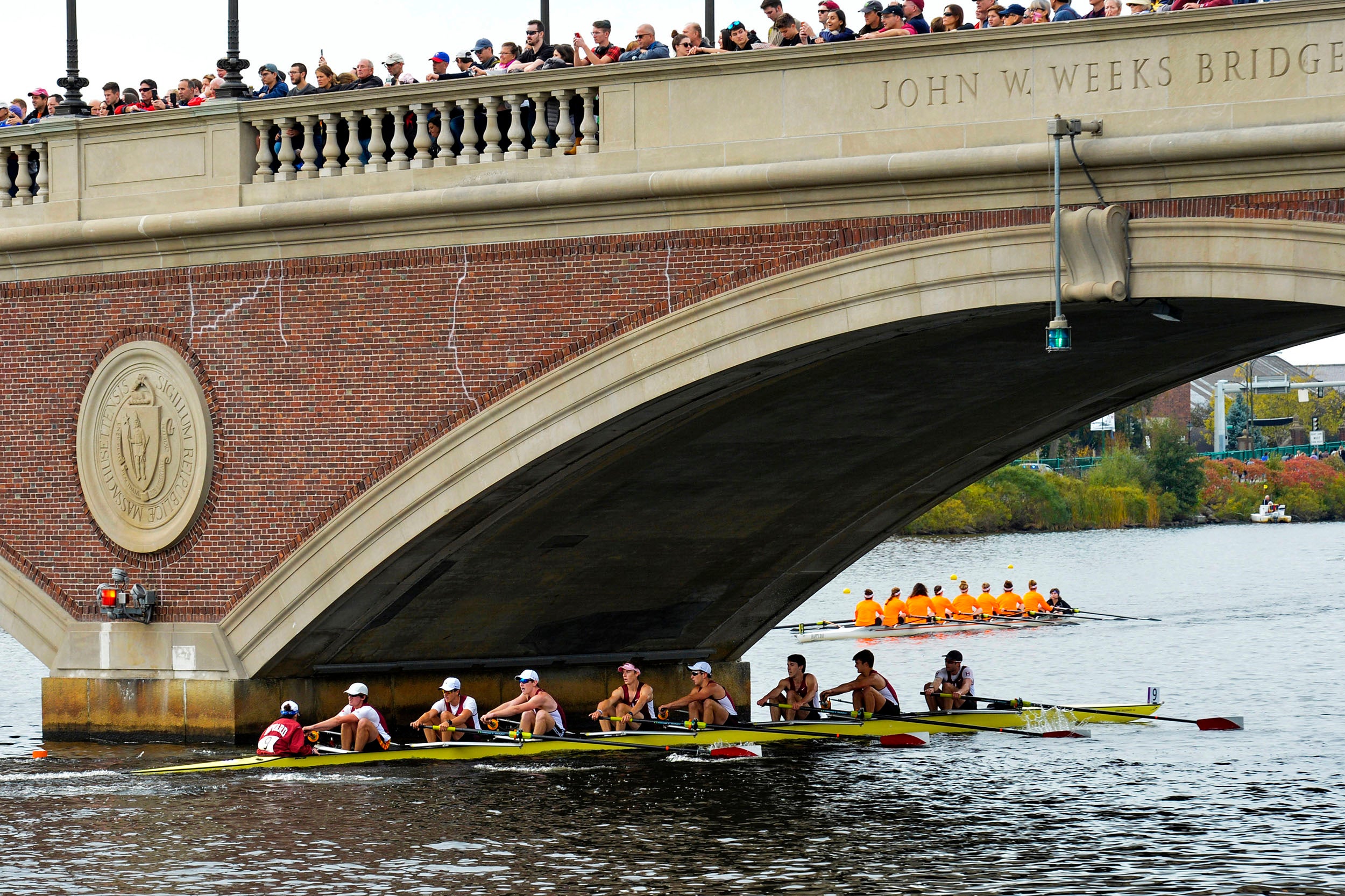 Harvard’s boat in the men’s lightweight eights race passes beneath the Weeks Footbridge.