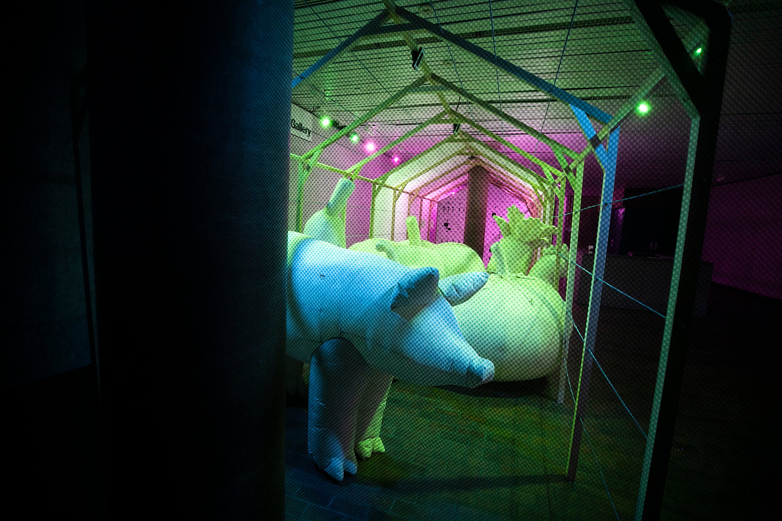Large pink, green, and blue inflatable farm animals.
