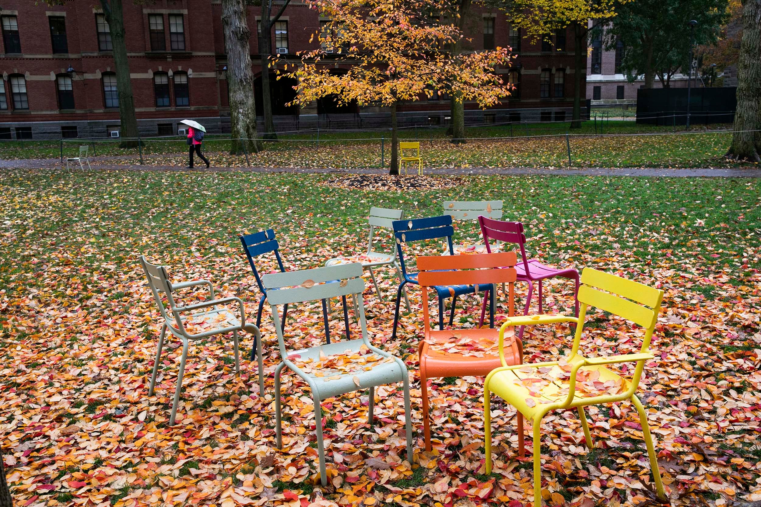 Empty chairs in Harvard Yard, littered with autumn leaves.