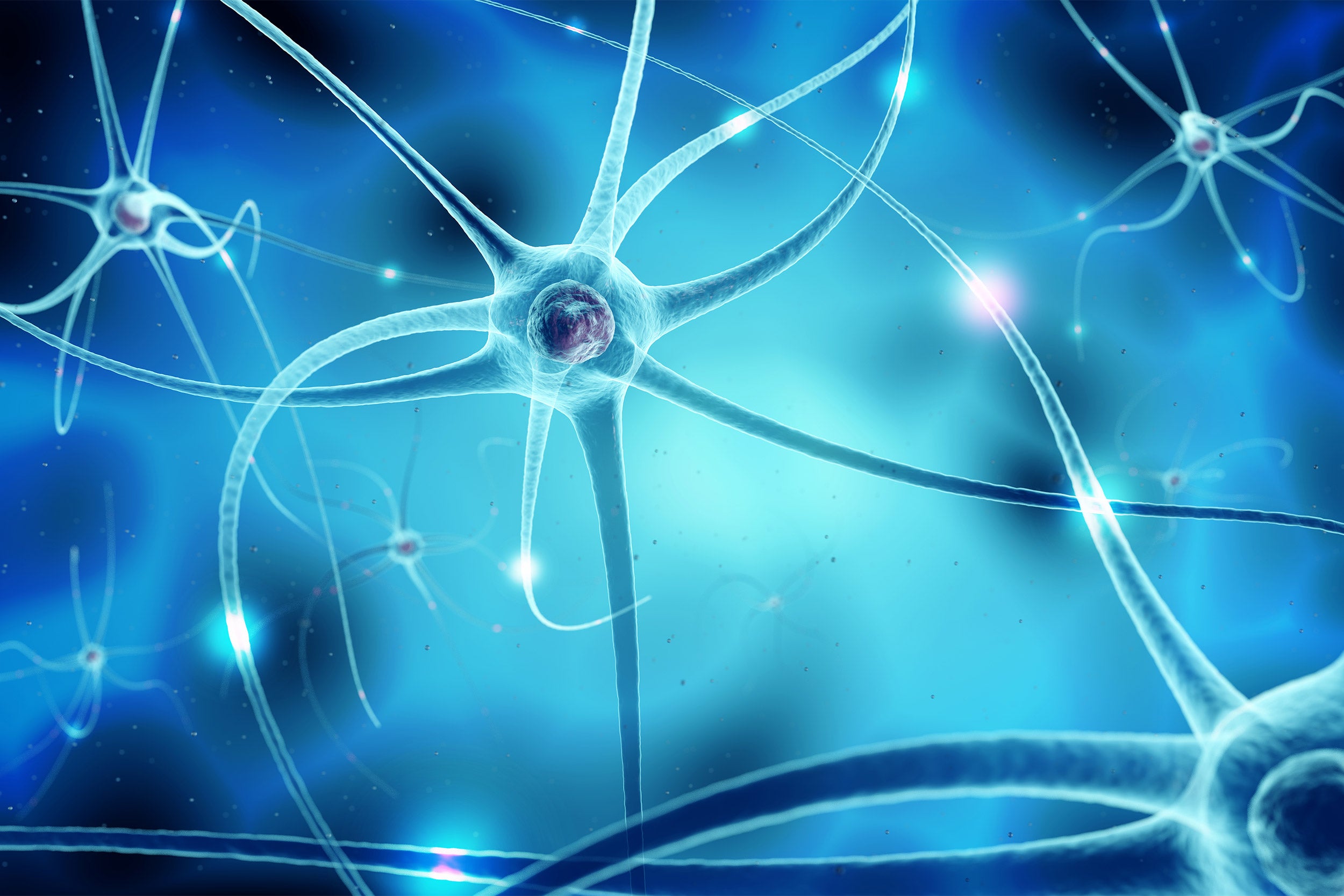 3d illustration of nervous network and nerve cells in blue.