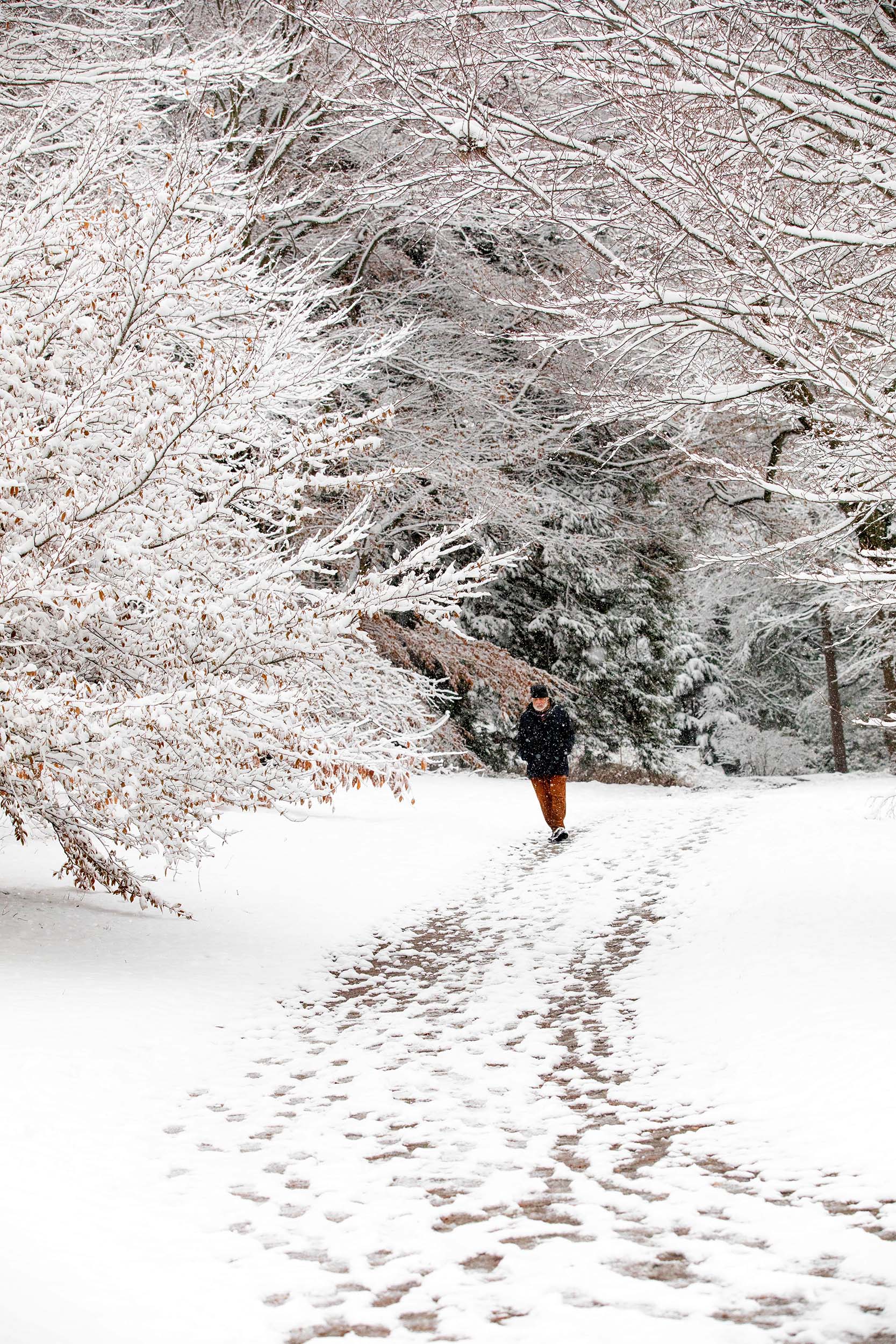 Anthony Apesos of Jamaica Plain walks along a snowy trail.