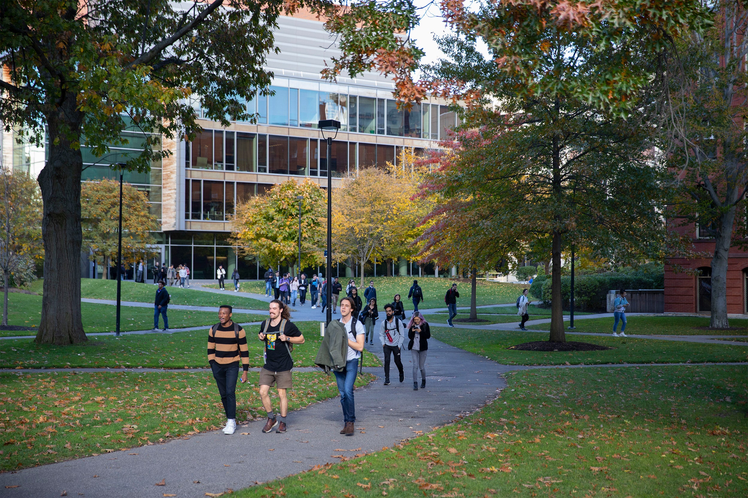 Students walking through Harvard Yard.