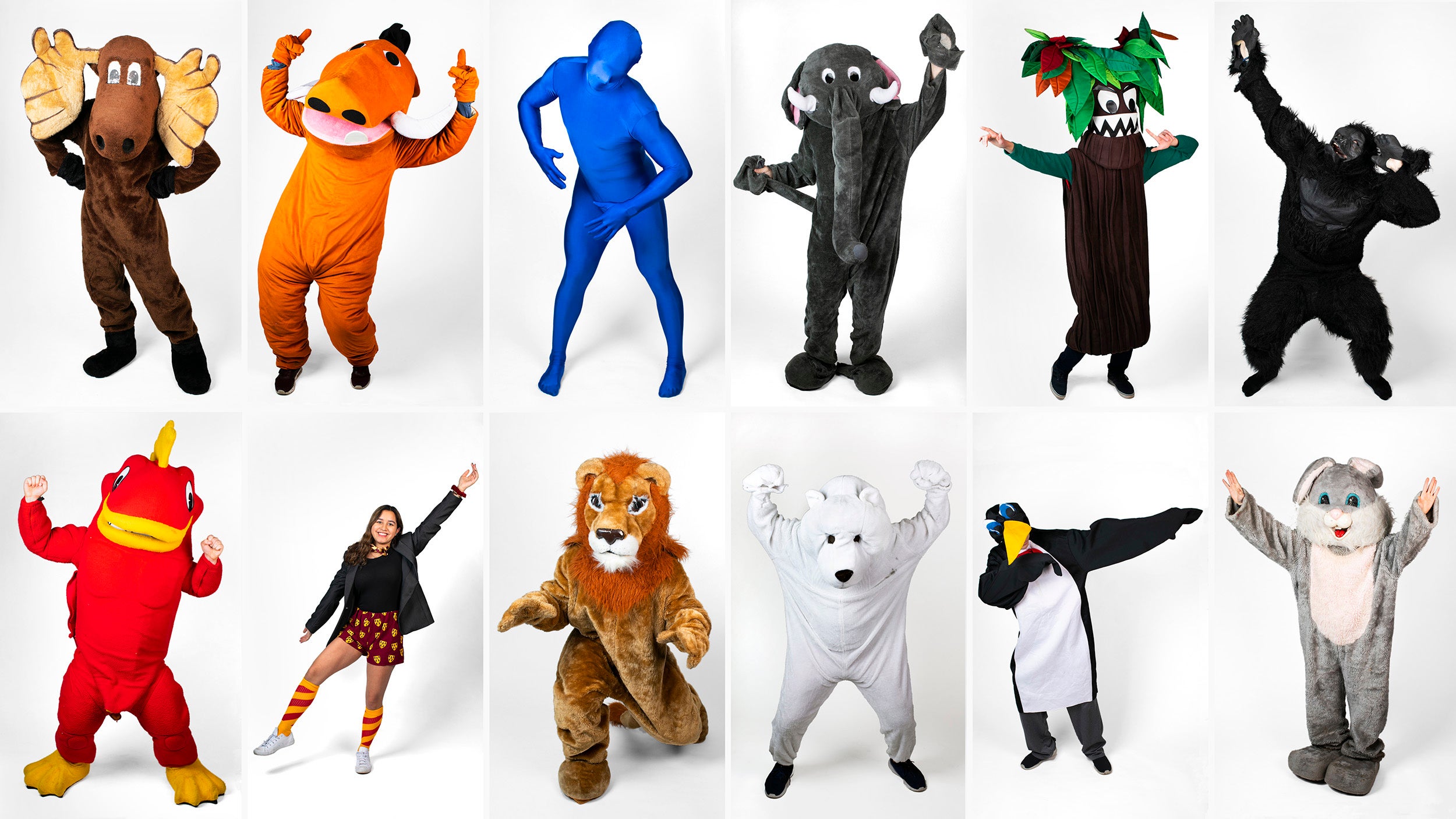 All twelve House mascots are pictured in costume striking a pose.