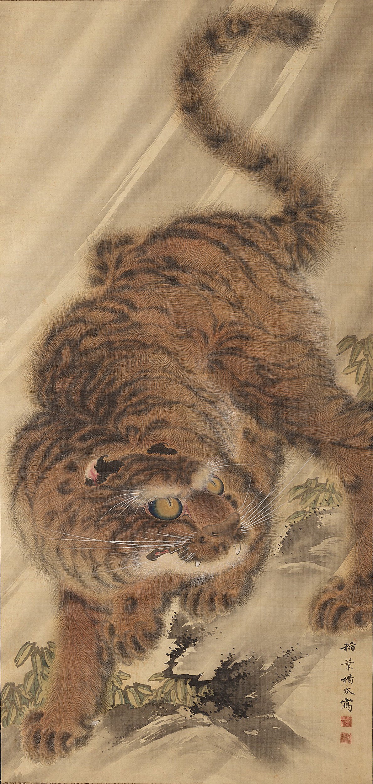 Scroll depicting tiger.