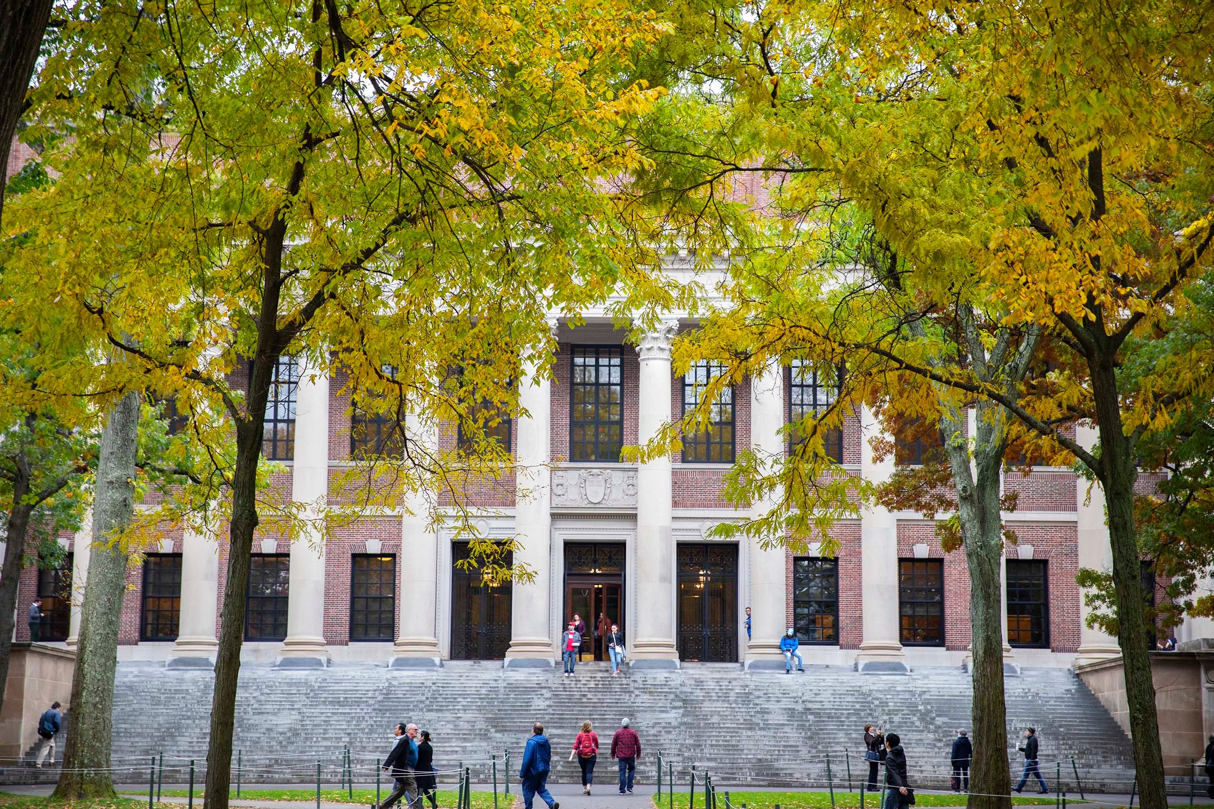 Widener Library is framed by Fall foliage.