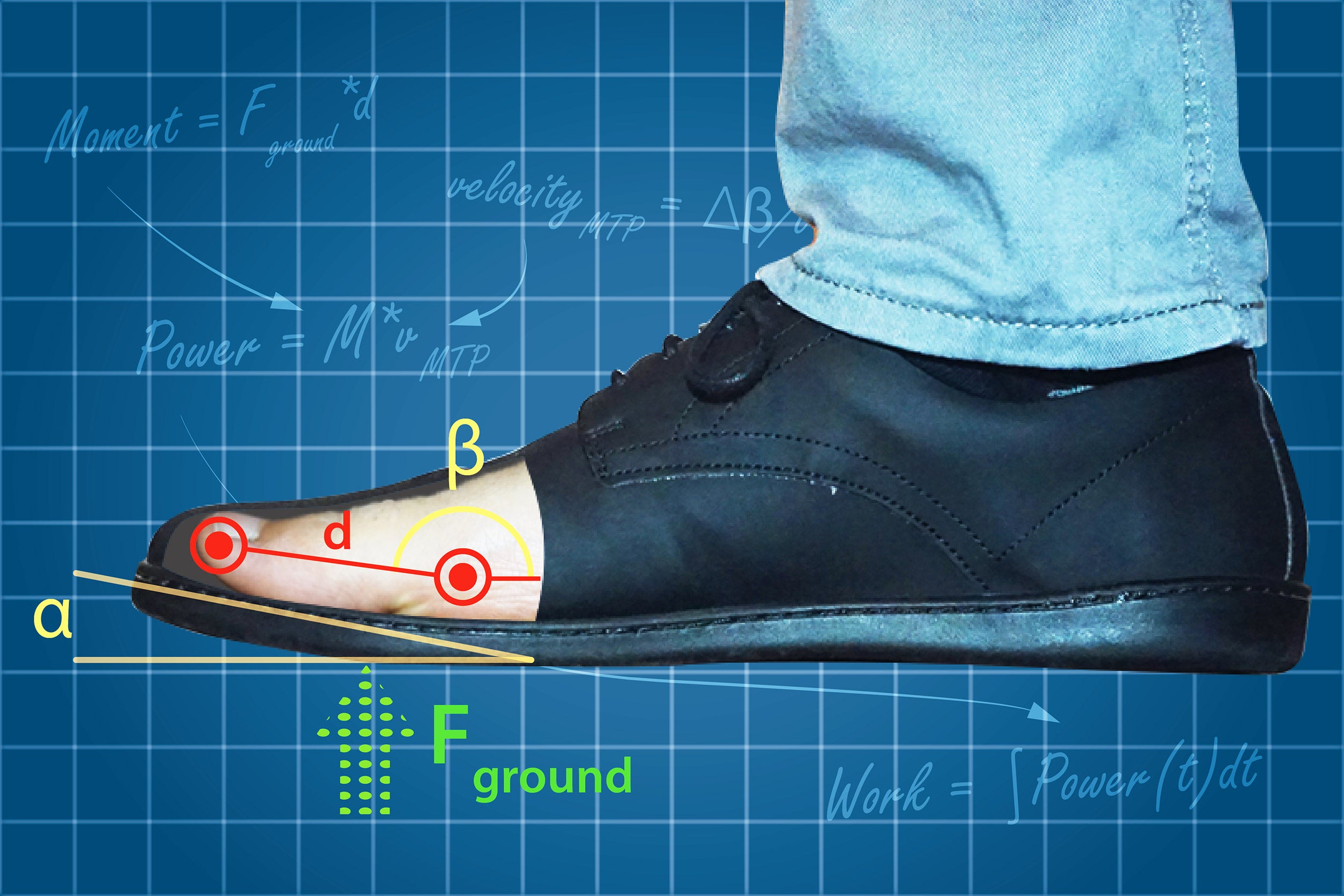 Curve on shoes makes walking easier, but may lead to foot problems