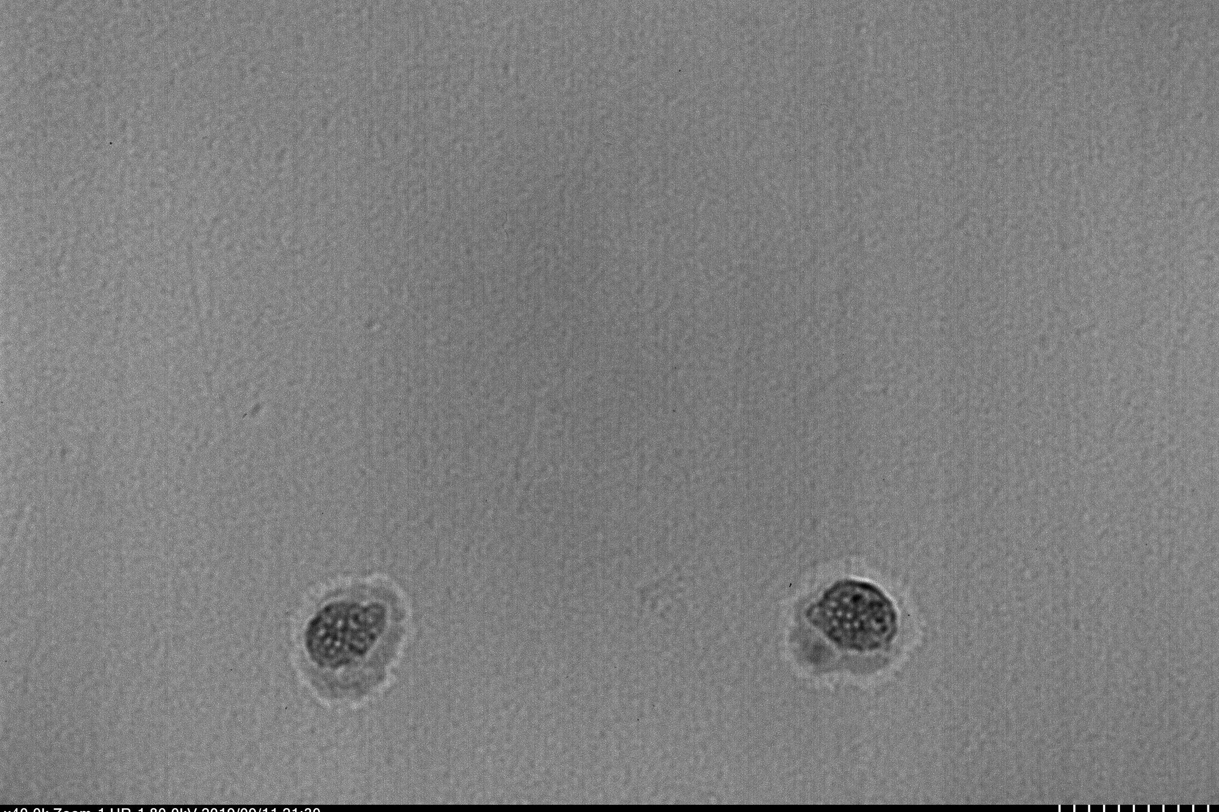 Ionic coating on a nanoparticle.