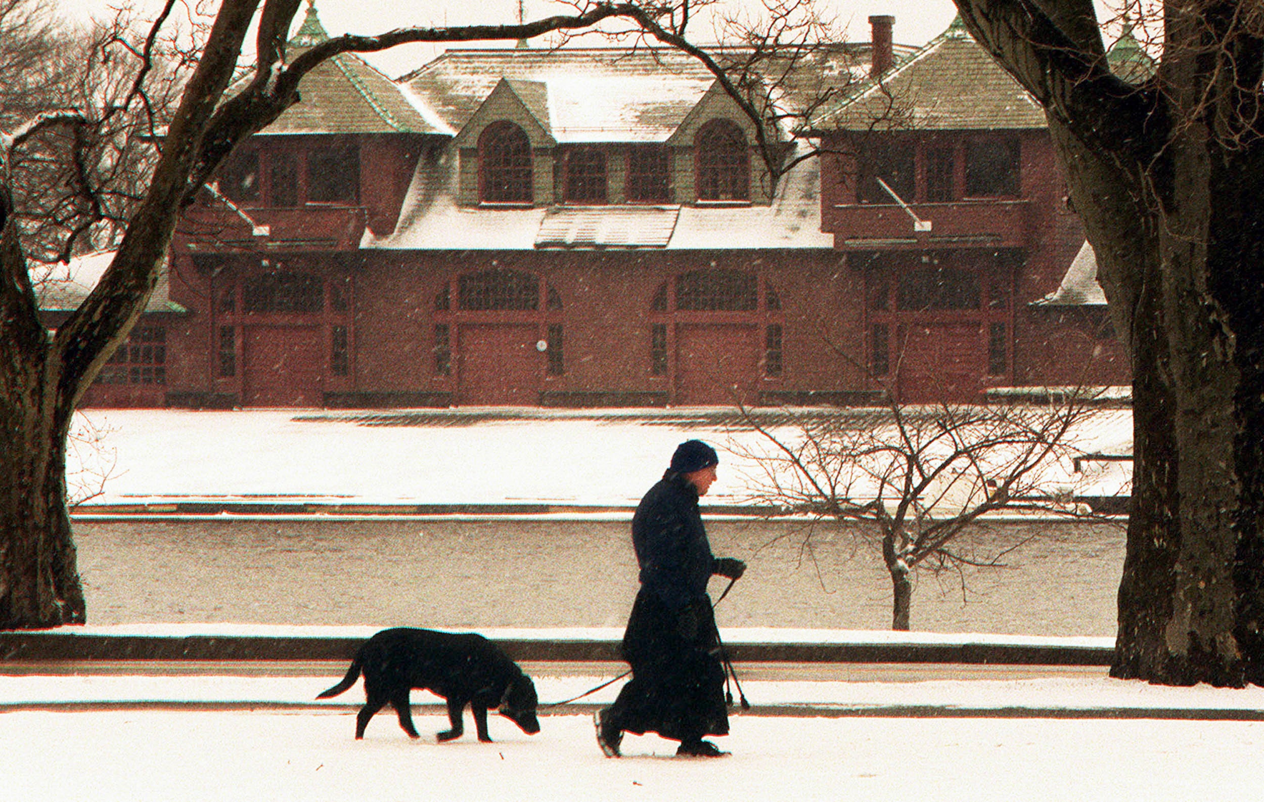 Walking a dog in snowy March.