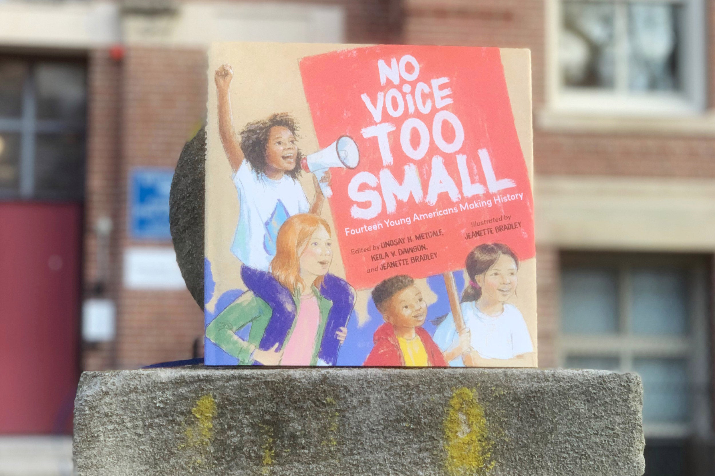 Cover of “No Voice Too Small.”