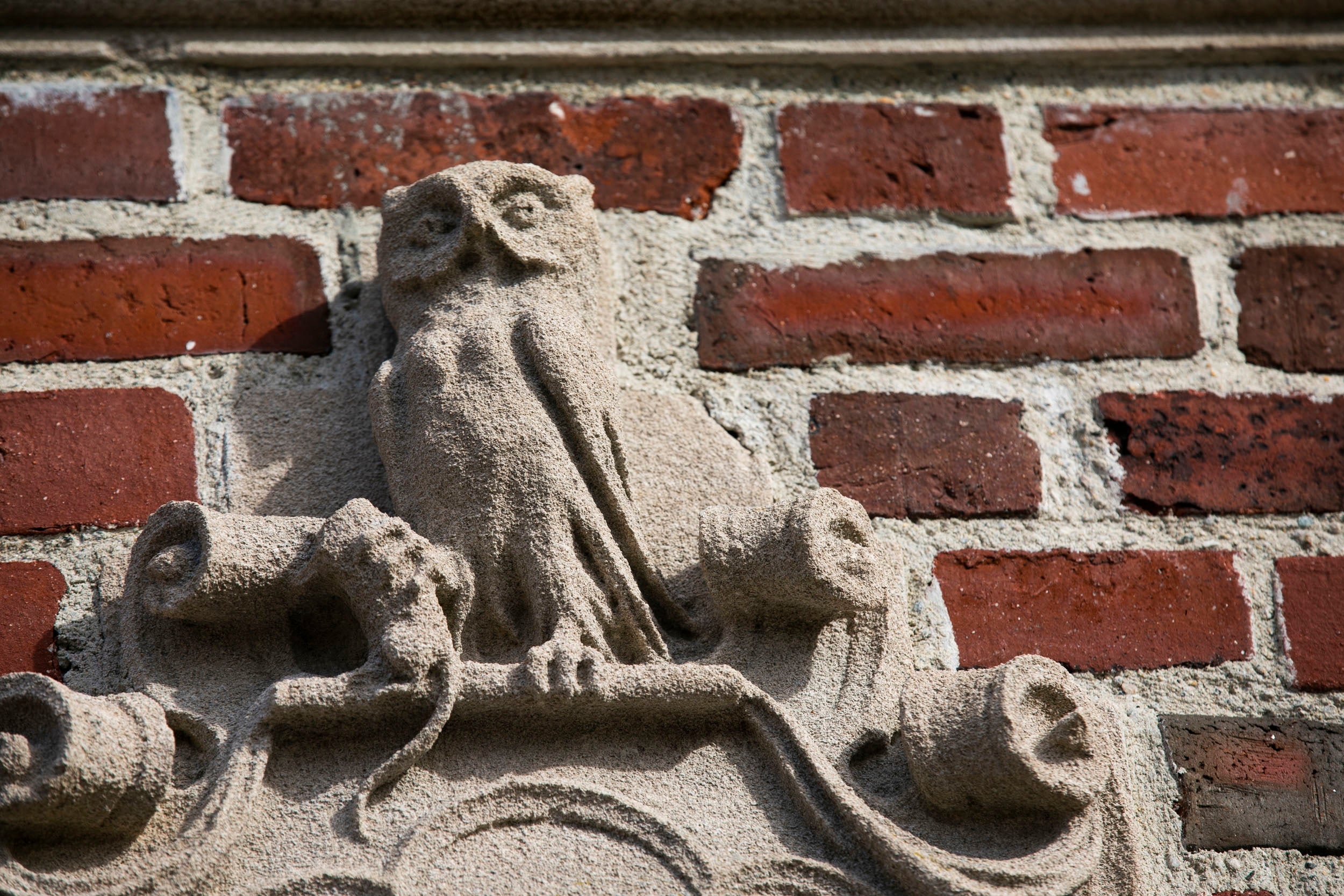 An owl decorates the gate surrounding Winthrop House.