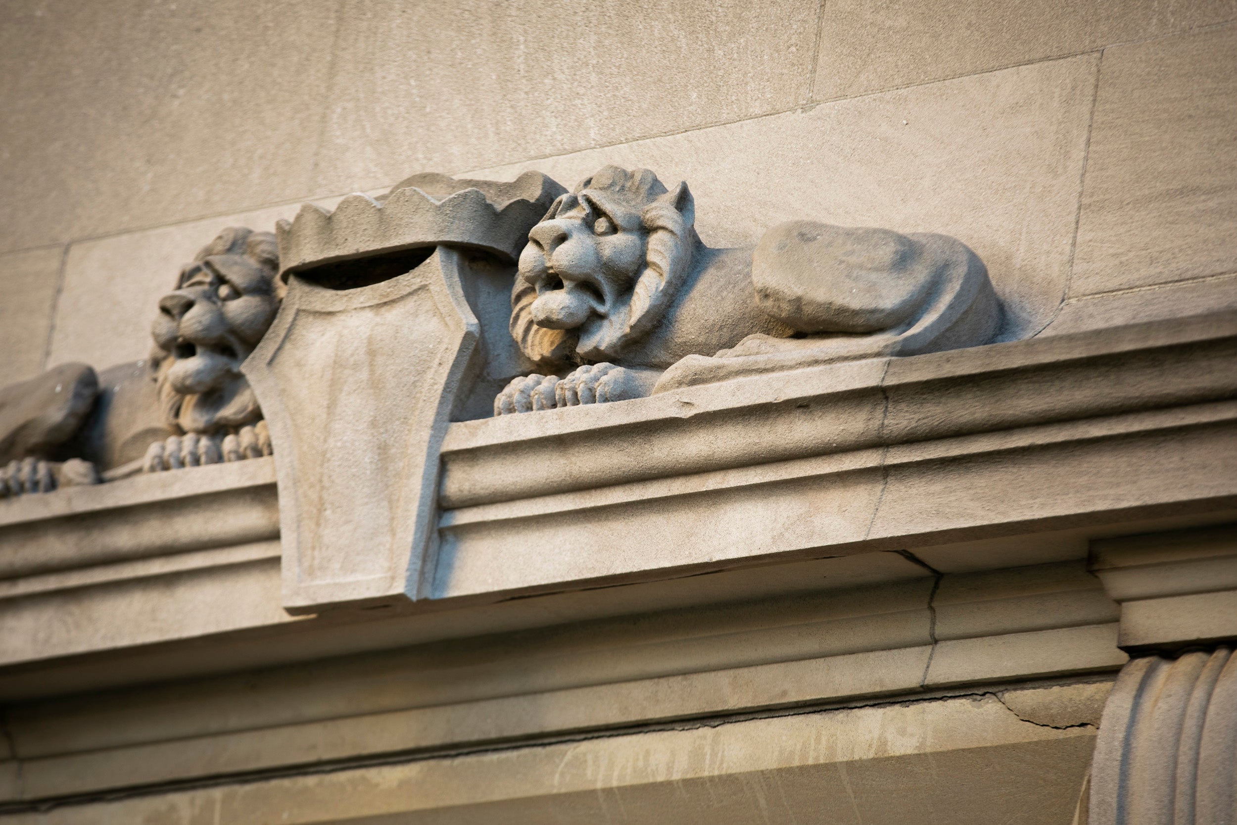 A pair of concerned lions adorns Adolphus Busch Hall.