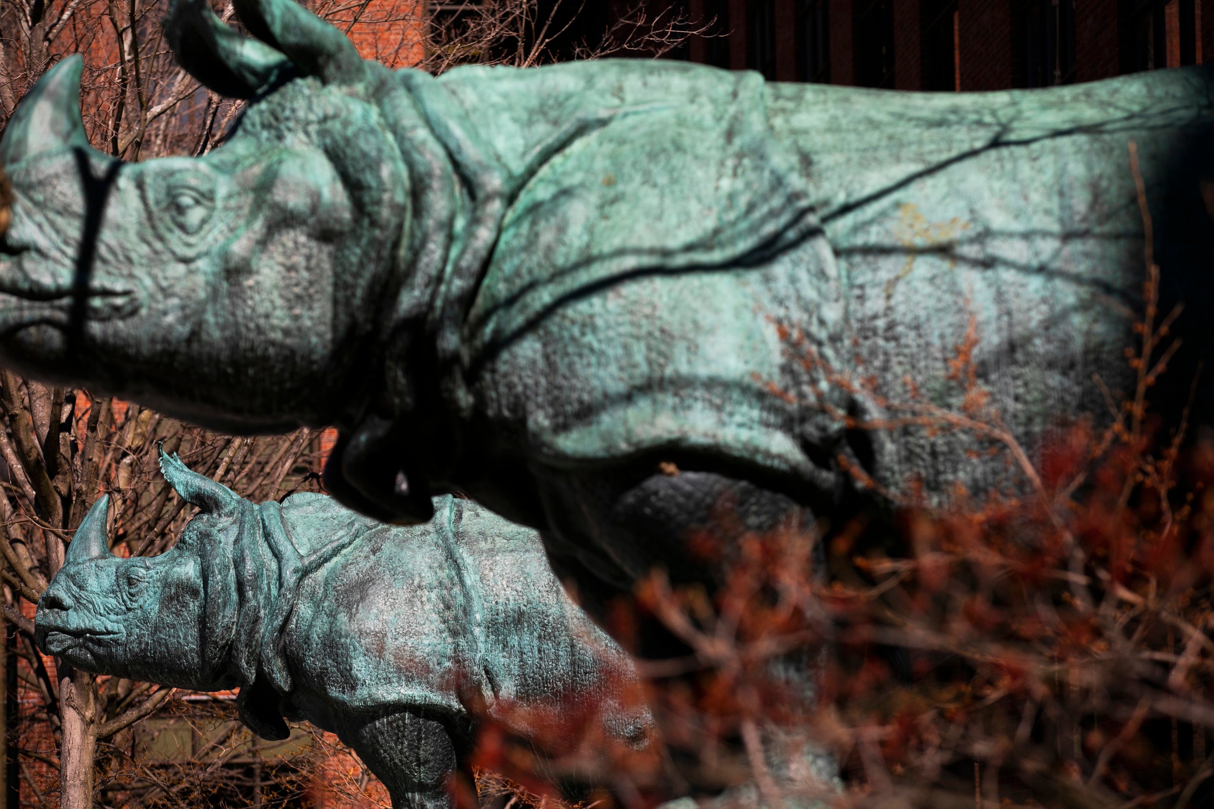 Two rhinos flank the main doors of the Biological Laboratory Building.