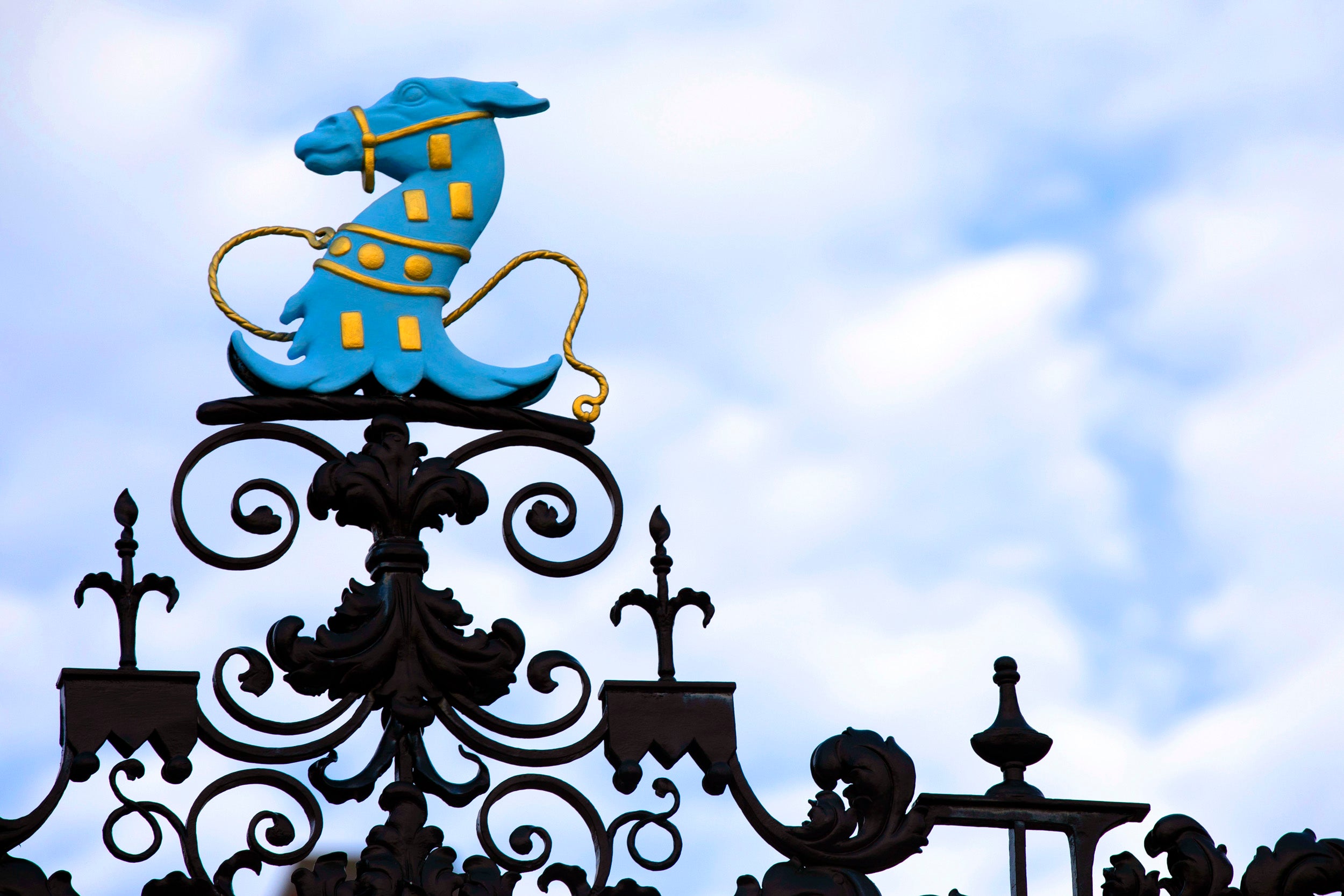 A blue horse decorates the gate surrounding Dunster House.