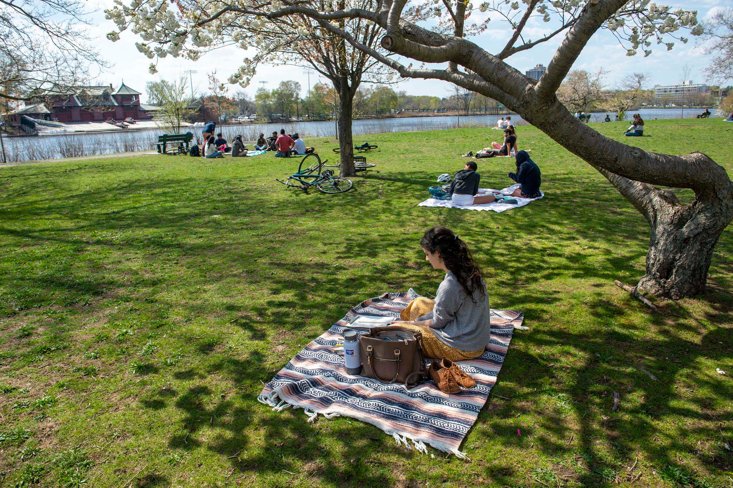 Cambridge residents relax on the grass between Memorial Drive and the Charles River.