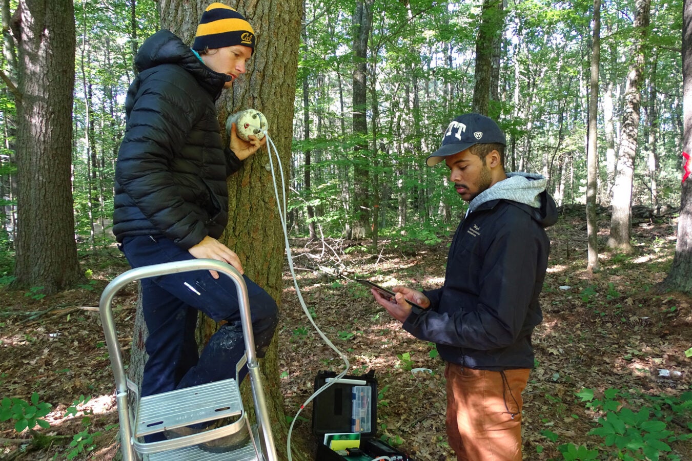 two students study a tree with special equipment.