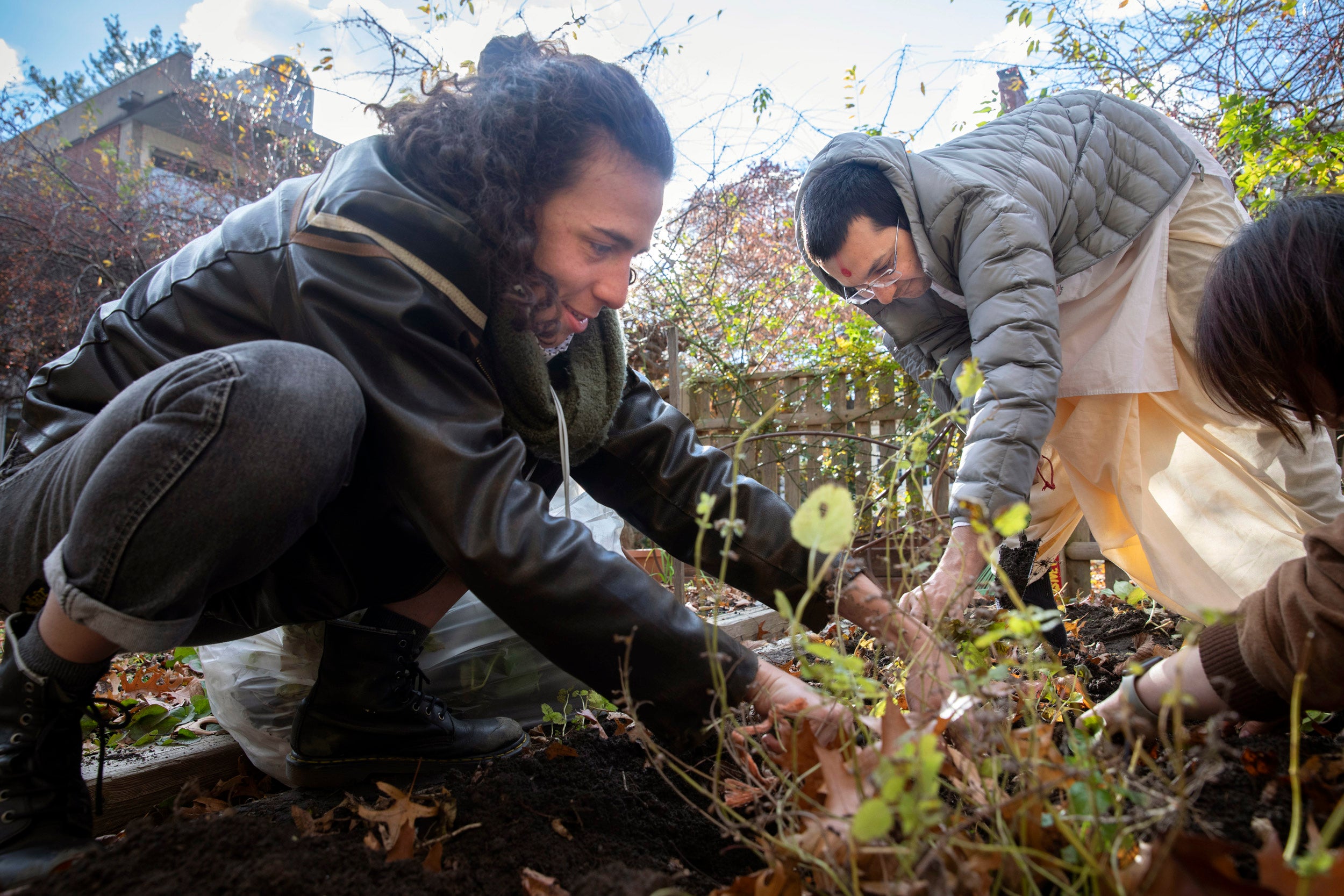 Divinity School students Naomi Fastovsky (left) and Venerable Vandan Sadhak get their hands dirty at the harvest party in their garden.