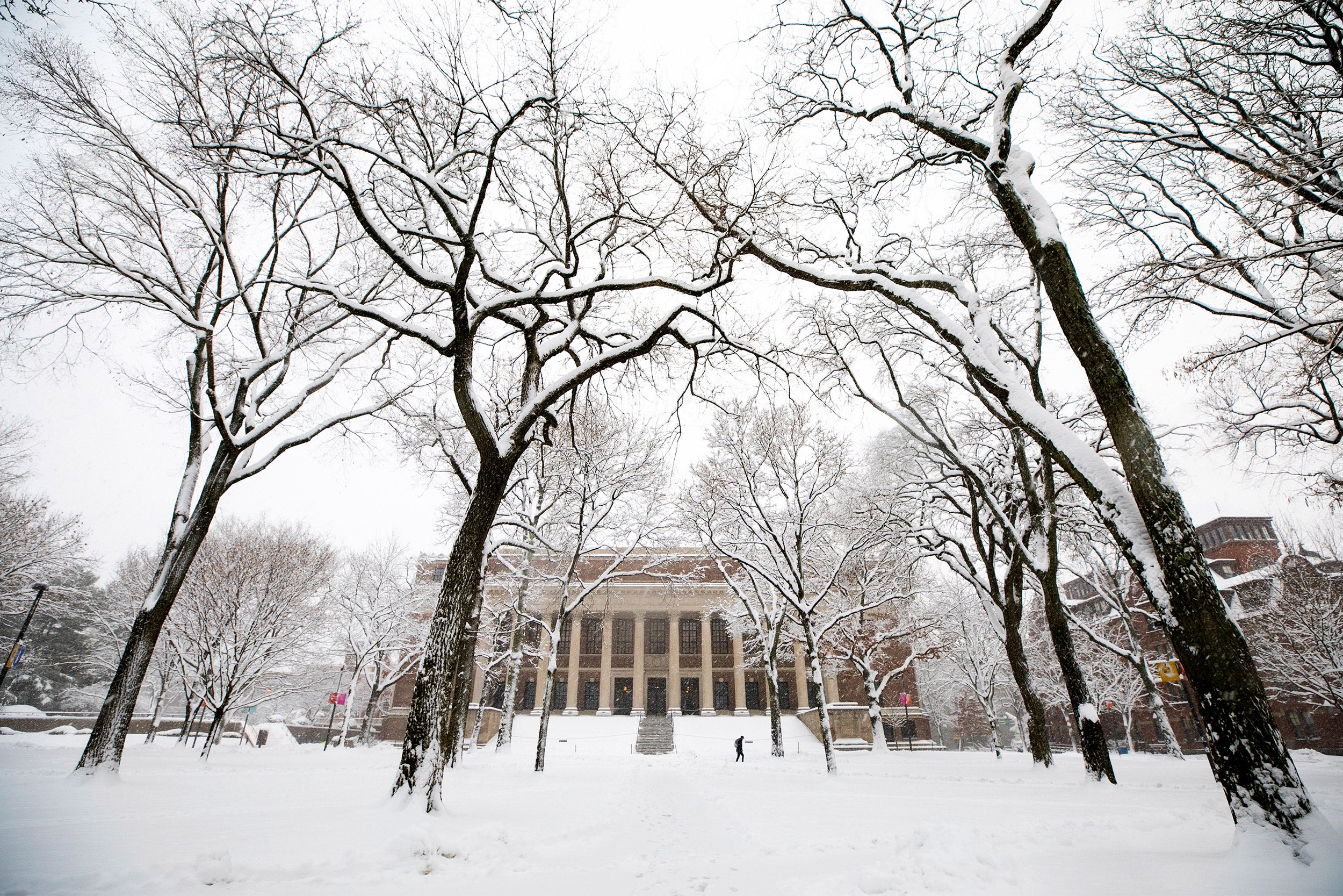 Harvard Yard first snowfall.